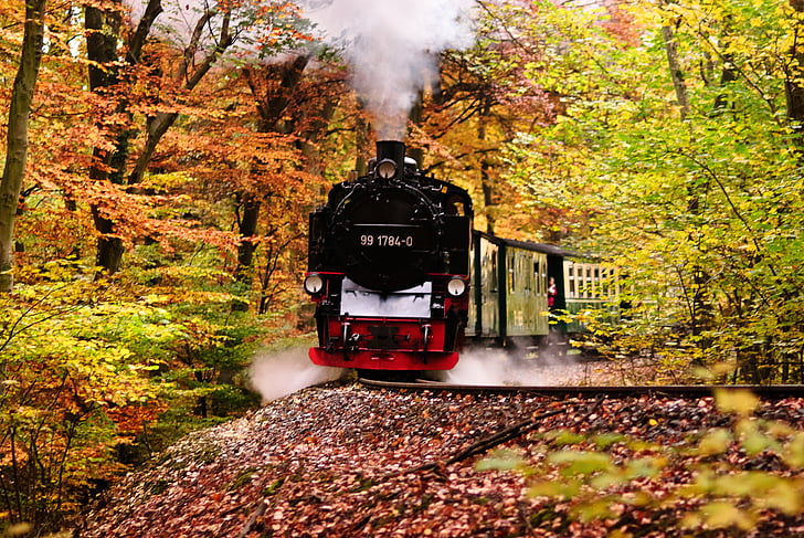 rasender roland, Rügen, kereta api, lokomotif, musim gugur, kereta api uap, lalu-lintas kereta api