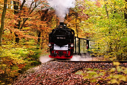 rasender roland, Rügen, kereta api, lokomotif, musim gugur, kereta api uap, lalu-lintas kereta api