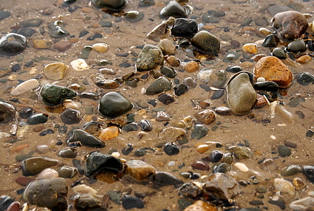 beach, pebbles, shells, water, sea, coast, shore