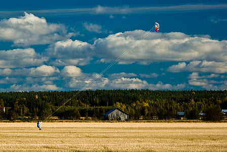 Kite, veld, vliegen, wolken, herfst, natuur, landelijke scène