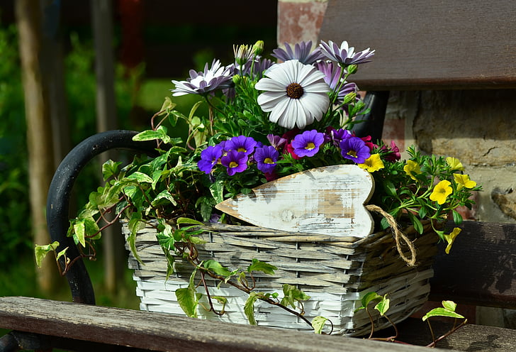 Gėlių krepšelis, gėlių apdaila, Natiurmortas, sodas, banko, krepšys, širdies
