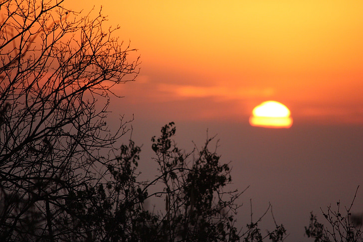 soloppgang, Kenya, Tsavo, landskapet, morgen
