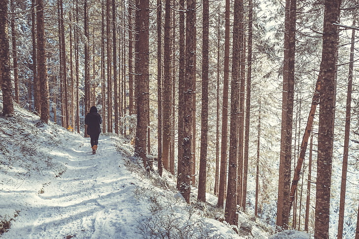 person, wearing, black, shirt, walking, snowy, surface