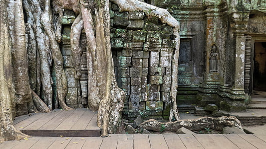 cambodia, angkor, temple, ta prohm, history, asia, temple complex