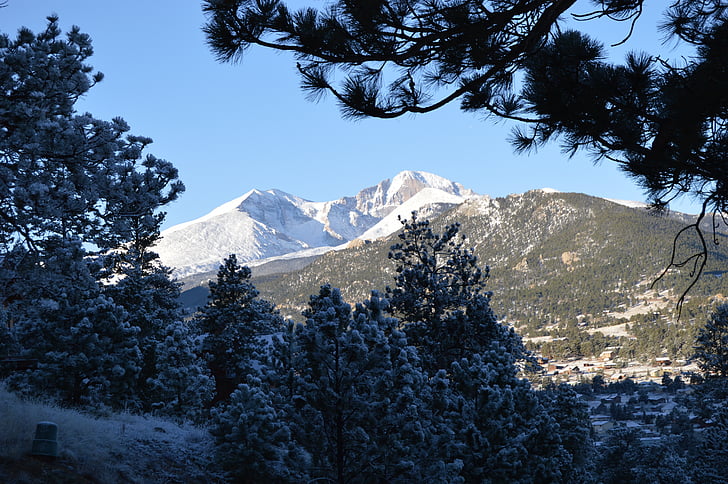longs peak, neige, Colorado, Parc d’Estes, montagne, paysage, pins