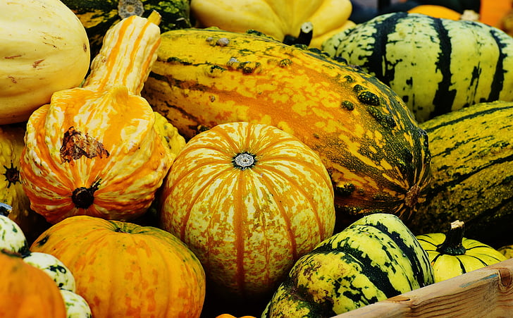 pumpor, hösten, hösten dekoration, skörd, dekorativa squash, dekoration, Orange