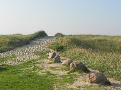 Danemark, blavand, dune, sable, Garcia, herbe, nature