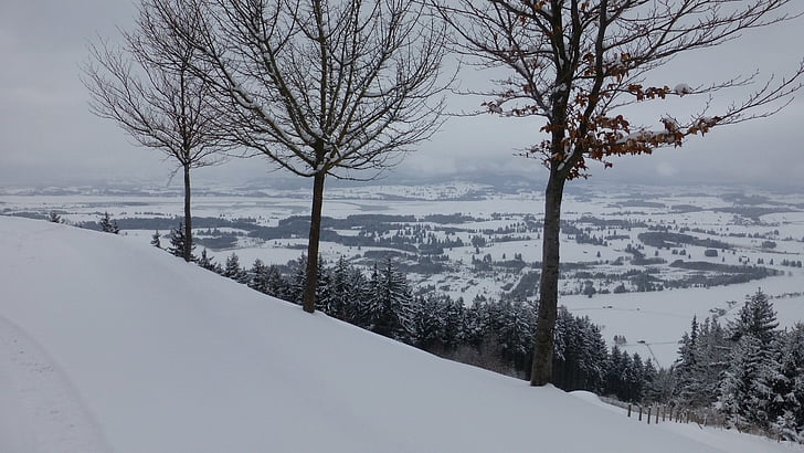 Allgäu, zimné, Buchenberg, jazero forggensee, sneh, Panorama