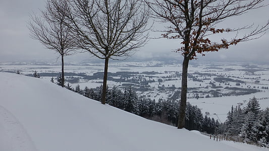 Allgäu, зимни, buchenberg, езеро forggensee, сняг, панорама