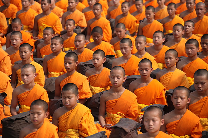 Thailand, buddhister, munker, og, nybegynnere, meditere, buddhisme
