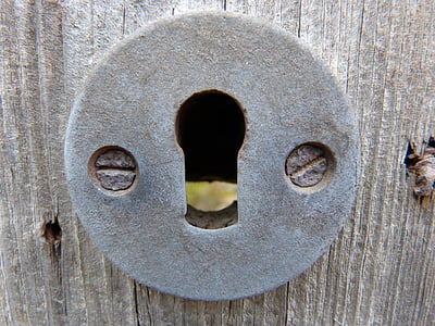 buraco de chave, aço inoxidável, velho, madeira, enferrujado, metal, ferro