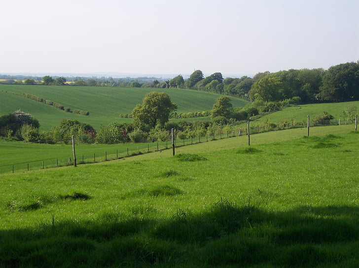 landsbygd, North downs, Kent, Sittingbourne, land, Park, gräs