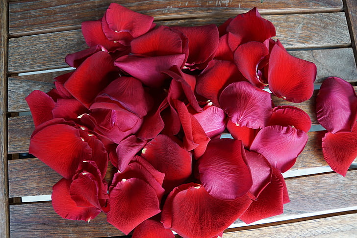 Роза, Любов, цвете, червен, листенца, изкуство, таблица