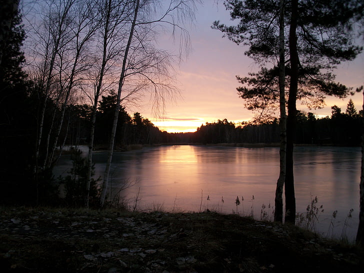 ทะเลสาบ, น้ำแข็ง, ฤดูหนาว, พระอาทิตย์ขึ้น, ฝันฤดูหนาว, ตาราง roma, แสง
