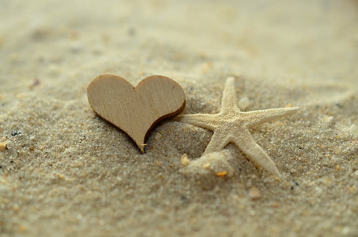 sand, hjerte, søstjerne, Beach, Kærlighed, ferie, sommer