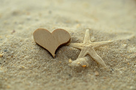 sable, coeur, étoile de mer, plage, amour, vacances, été