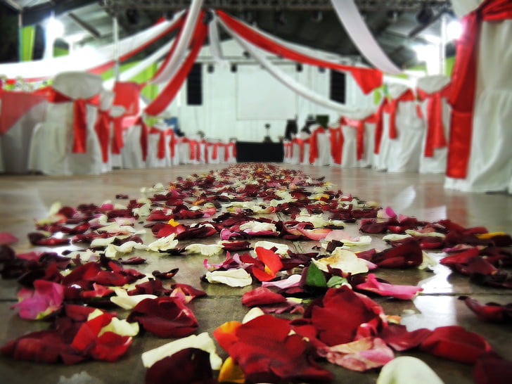boda, Rosas, decoración