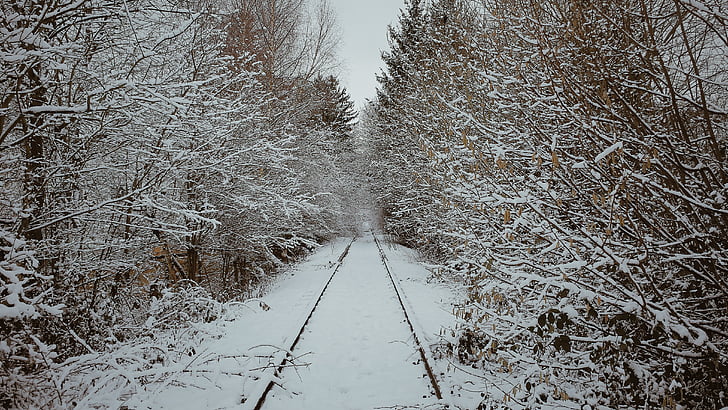 seemed, winter, railway, snow, train, track, cold