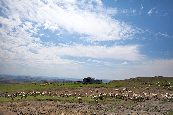 Lesotho, Afryka, krajobraz, niebo, chmury, sceniczny, Vista