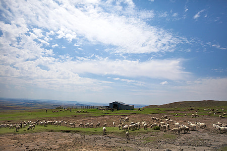 Lesotho, Afrika, Landschaft, Himmel, Wolken, landschaftlich reizvolle, Vista