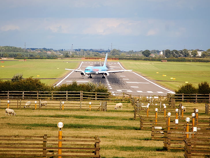 airplane, aircraft, airliner, airport, field, outside, plane