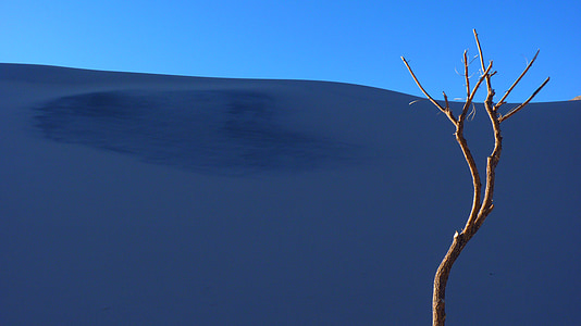 Дюна, песок, дерево, Одинокий, Анды, горы, Аргентина