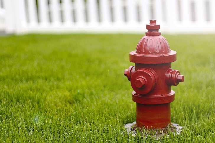 dog, fire hydrant, red, hydrant, pee, outdoors, grass