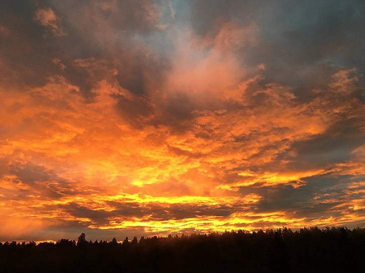 zonsopgang, schilderachtige, landschap, zonnige, zon, Dawn, Oranje