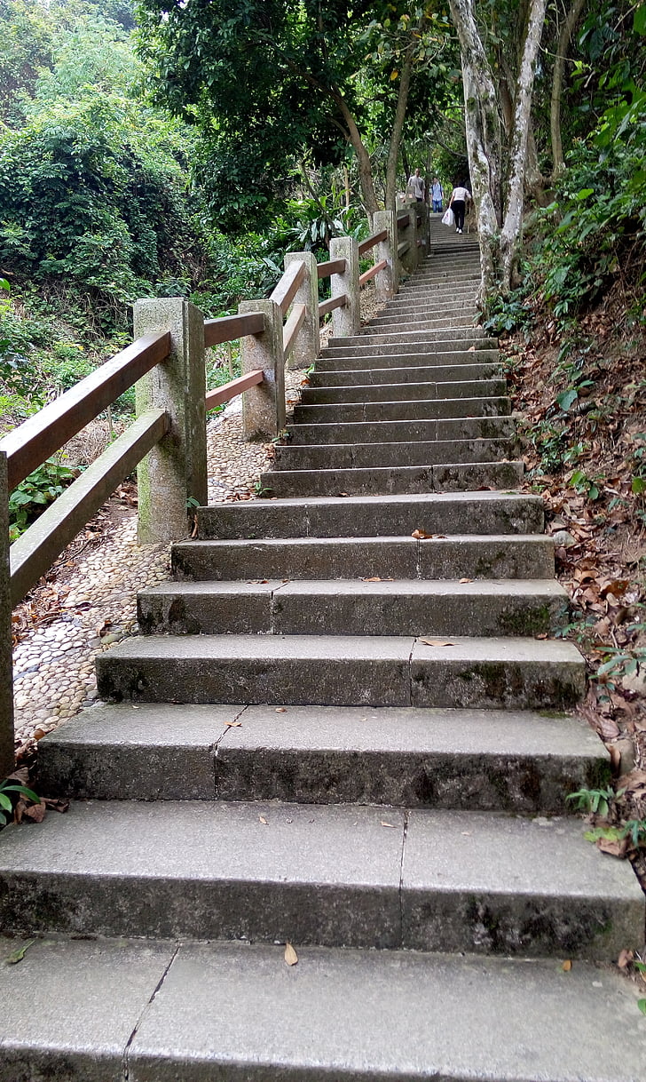 stepenice, zelena, daska, planinar, proljeće