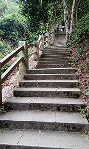 σκάλες, πράσινο, σανίδα, ορειβάτης, άνοιξη