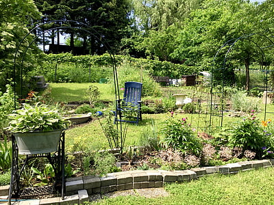 louka, Les, postel, zahrada, výzdoba, zahradní architektury