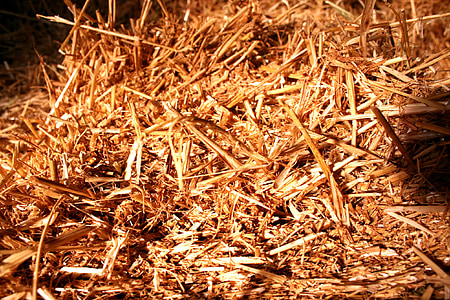 straw, straw bales, bale, landscape, farm, cattle feed, straw role