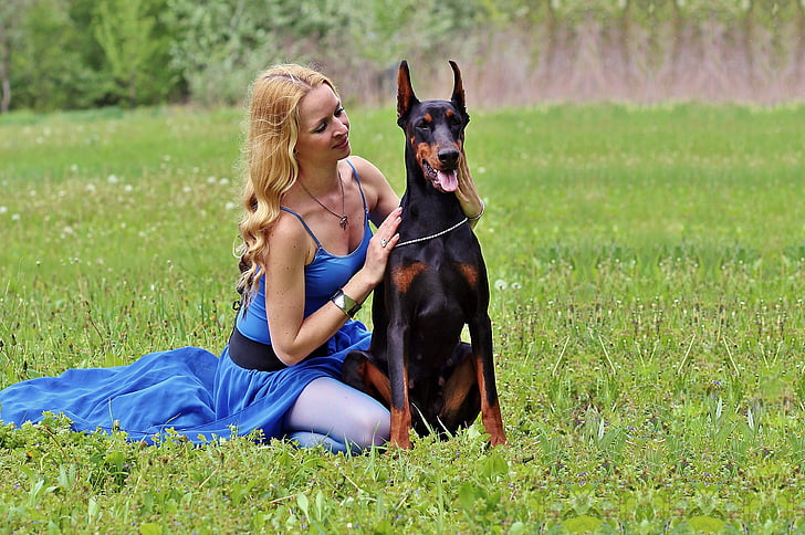 love, woman, doberman, field, sitting, dog, doberman Pinscher