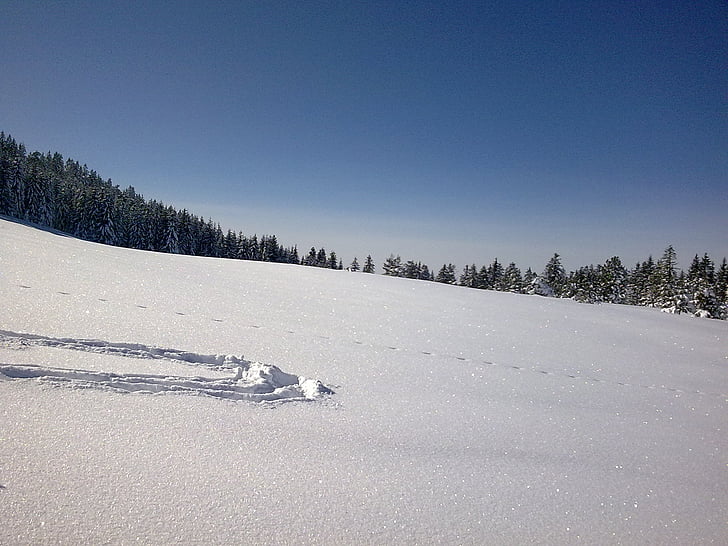 Vorarlberg, pozimi, sneg, hochhädrich, turno skiiing