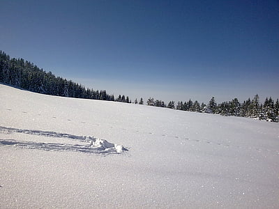 Vorarlberg, hiver, neige, hochhädrich, faire du ski dans l’arrière-pays
