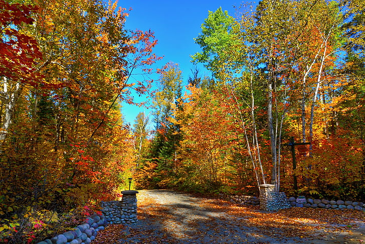 podzimní krajina, na podzim, krajina, teplé barvy, Les, dřevo, cesta