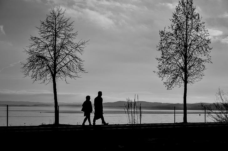 silhouettes, tree, man, market, walk, lake, trees