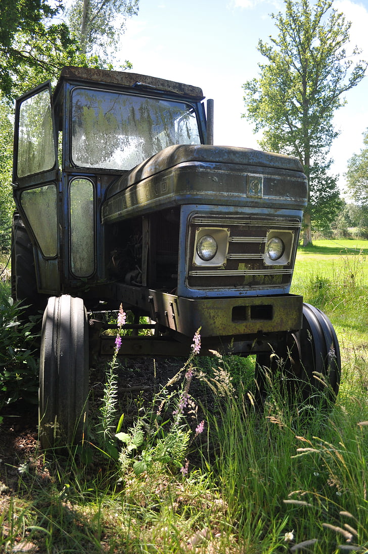traktorius, derlius, Leyland, mašinos, žemės ūkis, kaimo scena, ūkio