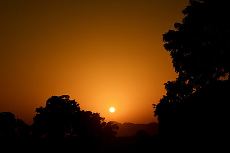Oranje, hemel, zonsondergang, zonsopgang, silhouet, bomen, natuur