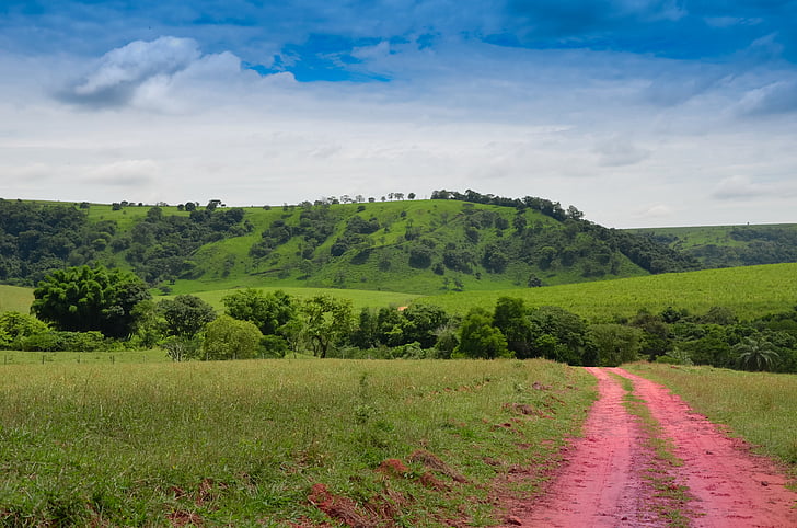 kraštovaizdžio, žalia, debesys, rifliuotu pagrindu, Brazilija, kaimo, žalia žolė