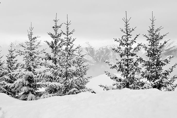 hó, Alpok, Haute-savoie, téli táj, hegyi, Ski, téli