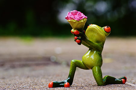 i beg your pardon, excuse me, frog, sweet, cute, funny, flowers