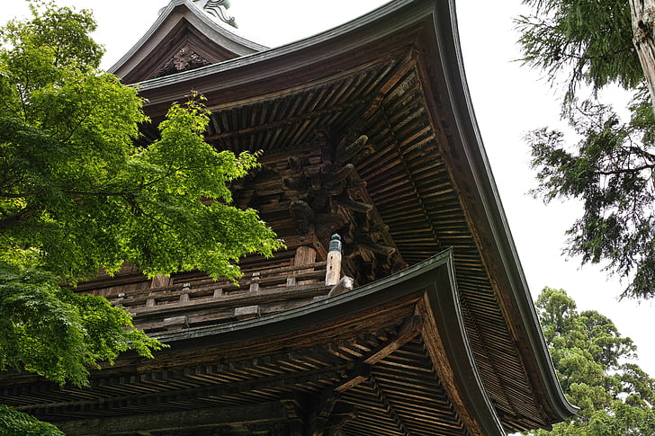 enkakuji temple, templet, Kamakura, Japan, tak, träd, inbyggd struktur