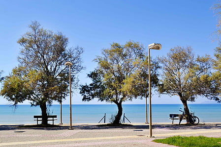 美丽的风景, 海景, 海边的树, 蓝色的大海, 希腊, kourouta, 景观
