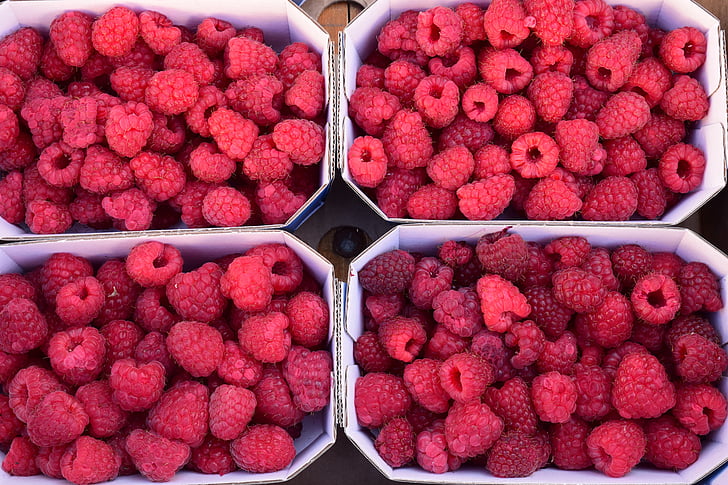 hindbær, bær, frugter, rød, frugt, frugt körbchen, marked
