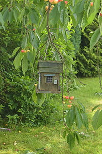鸟馈线, 花园, 鸟舍, 自然, 有趣, 独特, 房子