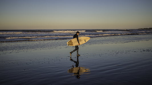 Surfer, Mar del plata, Costa, lained, Sea, Ocean, Beach