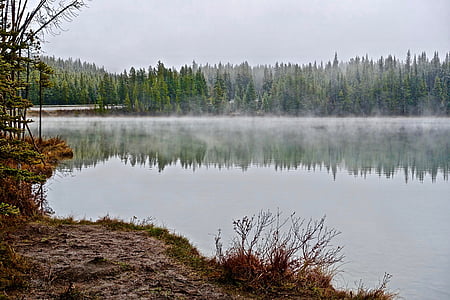 sương mù, Lake, buổi sáng, mặt trời mọc, sương mù, ánh sáng, Thiên nhiên