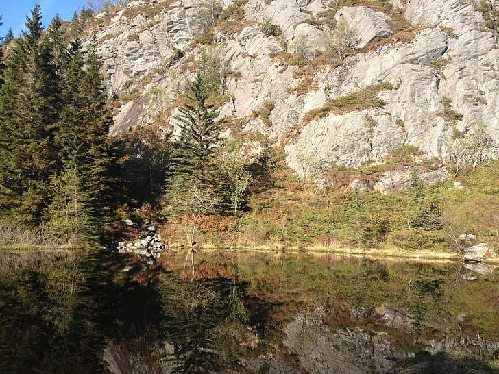 suvel, puit, mägi, vee, maastik, loodus, roheline