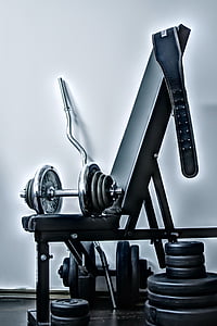 ginásio, exercício, desporto, musculação, os músculos, saúde, a força do
